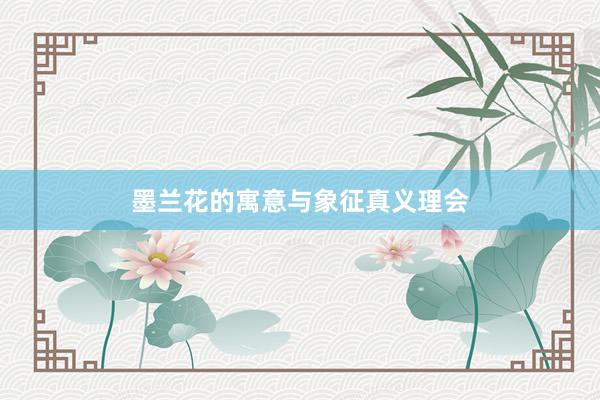 墨兰花的寓意与象征真义理会