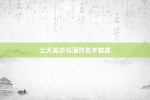 公犬美妙顺溜的名字推选