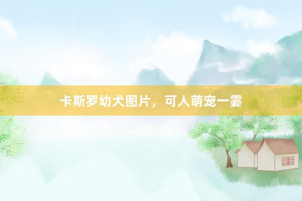 卡斯罗幼犬图片，可人萌宠一霎
