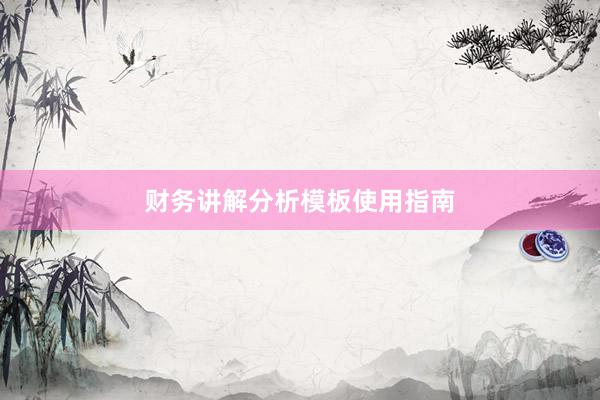 财务讲解分析模板使用指南